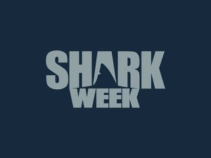 Shark Week Shark Week